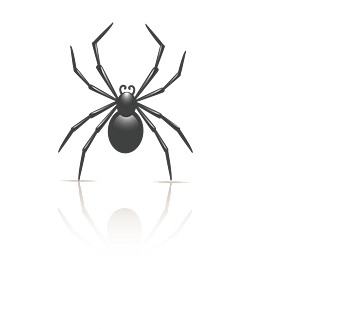 卡通黑色昆虫蜘蛛