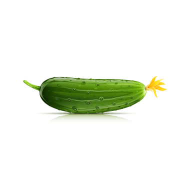 黄瓜片png元素素材图片下载-万素网