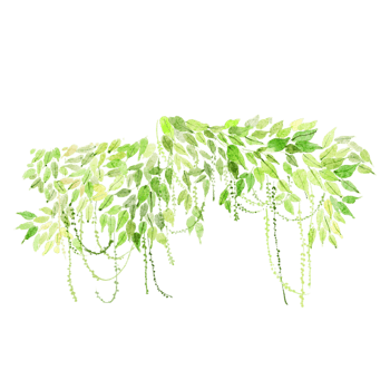 绿色清新手绘树藤