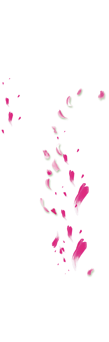 漂浮元素-免抠png元素,png素材下载-万素网