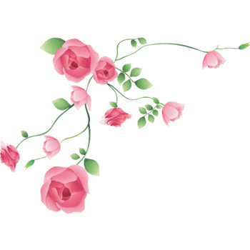 蔷薇花漫画素材图片