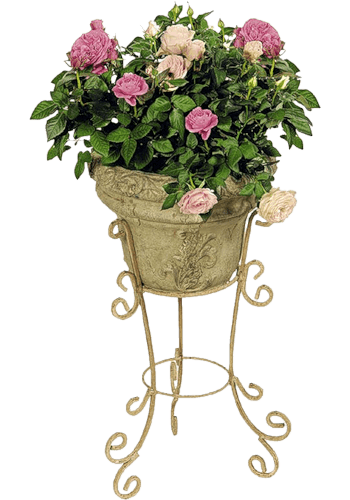 免抠元素 高脚花篮下载后高清无水印 尺寸 :567*567px 颜色模式 :rgb