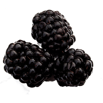 两杯梅子果汁图片素材