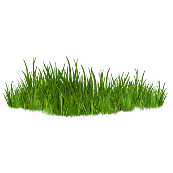 绿草素材图片免费下载 绿草素材素材 万素网