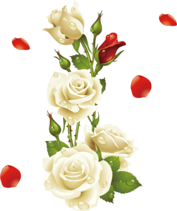 玫瑰花藤装饰元素