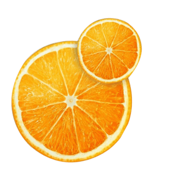 橙子素材