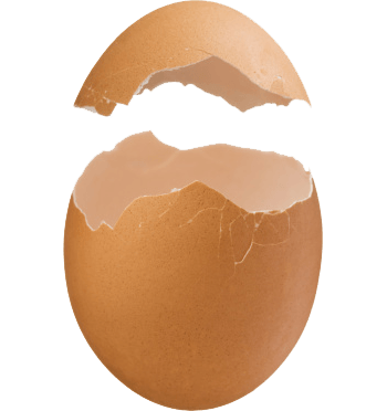 鸡蛋破壳素材图片