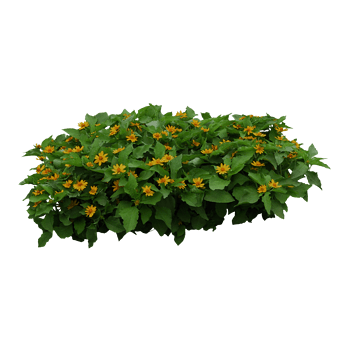 植物psd图片-植物psd素材下载-万素网