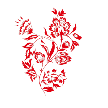 康乃馨花朵剪影