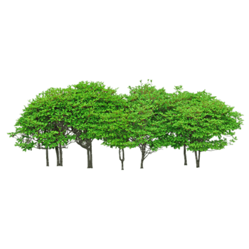 金色树林png元素素材图片下载-万素网