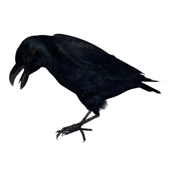 张嘴的乌鸦