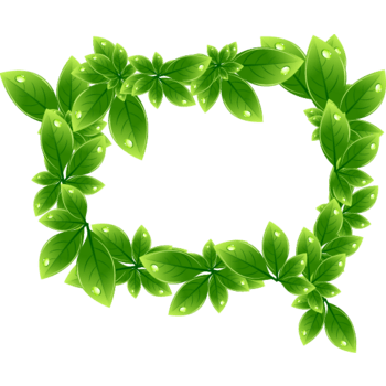 绿叶边框图片免费下载_绿叶边框素材_第2页_万素网