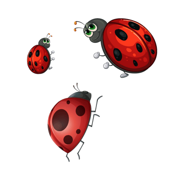 卡通七星瓢虫