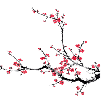 梅枝图片免费下载-梅枝素材-万素网