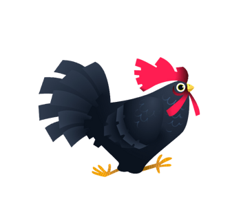 卡通手绘黑色母鸡