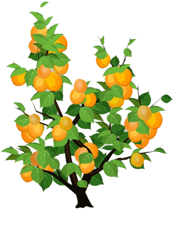 卡通手绘杏树