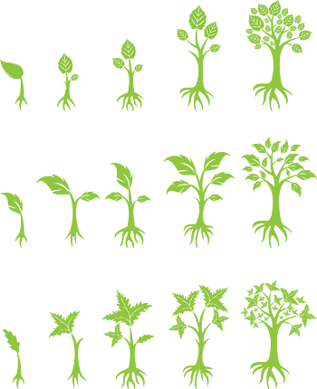 植物生长过程 素材 免费植物生长过程图片素材 植物生长过程素材大全 万素网