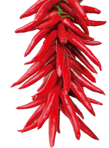 辣椒素材免抠元素图片_元素素材3794743_万素网