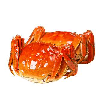 螃蟹png元素素材图片下载-万素网