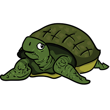 绿毛龟 头像图片