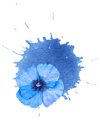 尺寸:800*800下载:1下载png蓝色花朵下载png尺寸:4732*3507下载:0下载