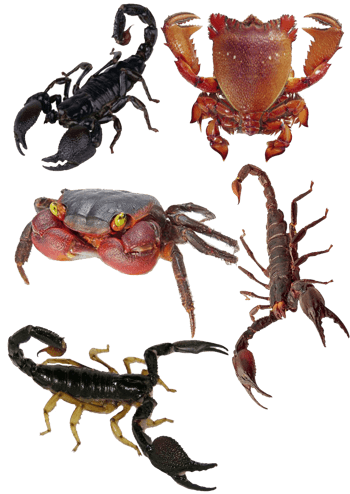 食物组合免抠元素图片-元素素材4159550-万素网