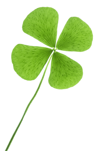 四叶草图片