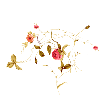 春天的花 素材 免费春天的花图片素材 春天的花素材大全 万素网 春天的花 素材 免费春天的花图片素材 春天的花素材大全 万素网