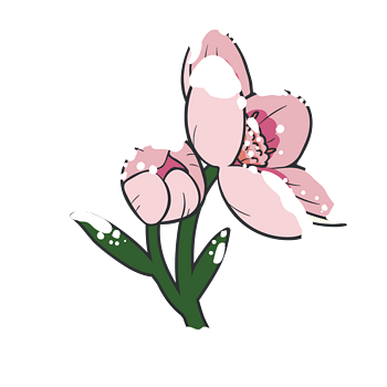 美丽的手绘冬季花