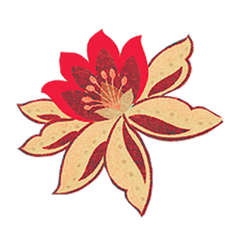 红色莲花边框纹理