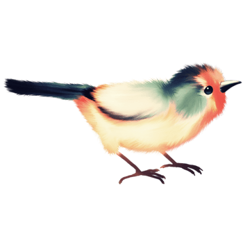 彩色可爱小鸟