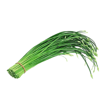 韭菜苔 素材 免费韭菜苔图片素材 韭菜苔素材大全 万素网