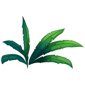 热带植物草 素材 免费热带植物草图片素材 热带植物草素材大全 万素网