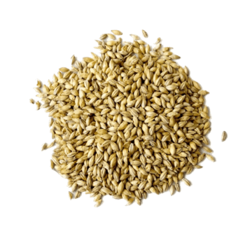 麦芽原料png元素素材图片下载-万素网