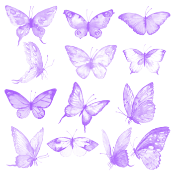 飞舞的蝴蝶ps笔刷