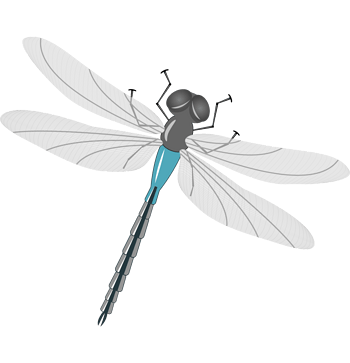 灰色矢量卡通手绘飞翔蜻蜓
