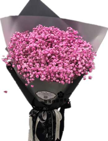 满天星花束玫红色