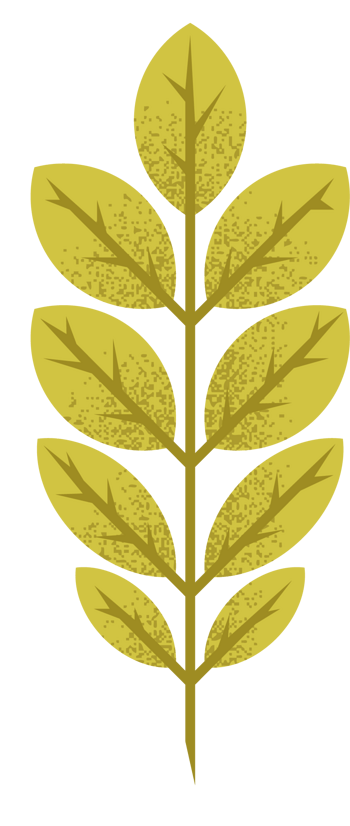 秋叶背景图片 秋叶背景设计素材 秋叶背景素材免费下载 万素网