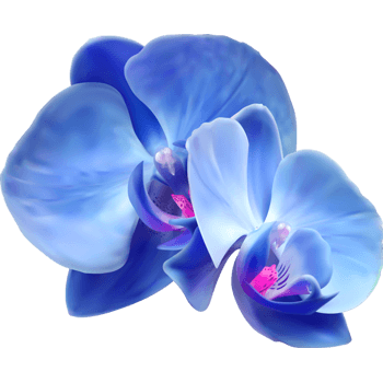 蓝色兰花元素图片-蓝色兰花素材下载-万素网