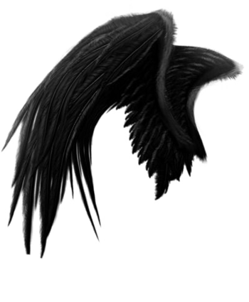 黑色翅膀图片-黑色翅膀设计素材-黑色翅膀素材免费下载-第2页-万素网