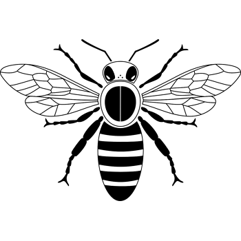 黑白蜜蜂