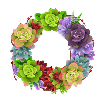 多肉植物图片免费下载_多肉植物素材_第3页_万素网