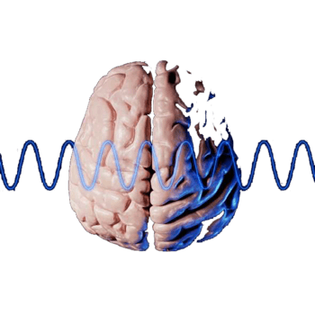 脑电波 素材 免费脑电波图片素材 脑电波素材大全 万素网