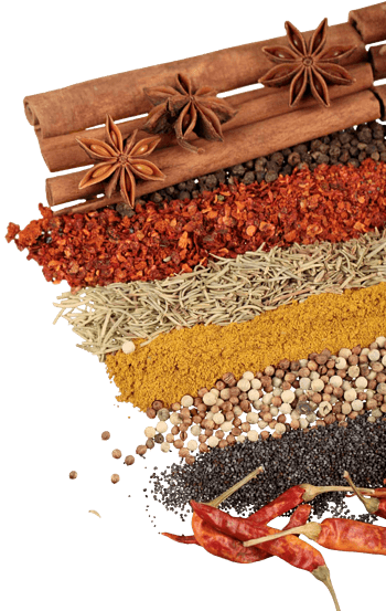 八角茴香免抠元素图片-元素素材3481546-万素网