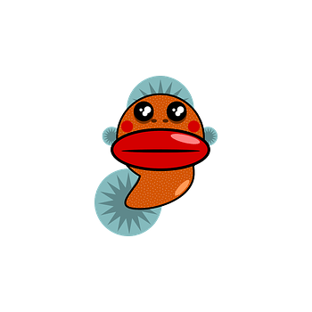 卡通圆鳍鱼