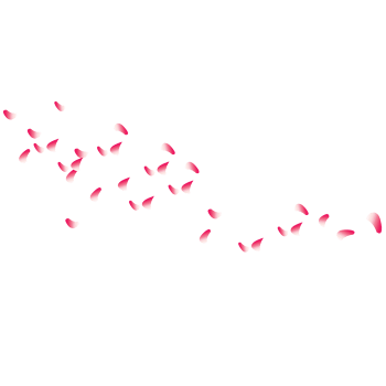 撒花瓣免抠元素图片-元素素材123353-万素网