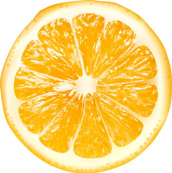 逼真橙子切片