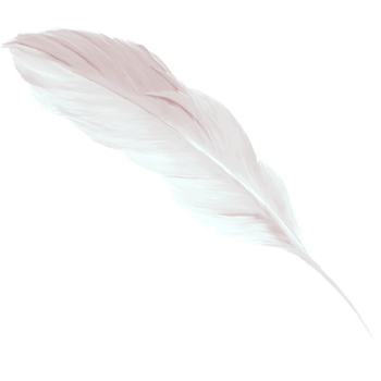 羽翼天使图片 羽翼天使设计素材 羽翼天使素材免费下载 万素网