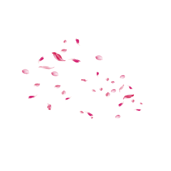 飘落花瓣