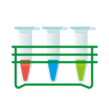 卡通绿色试管架